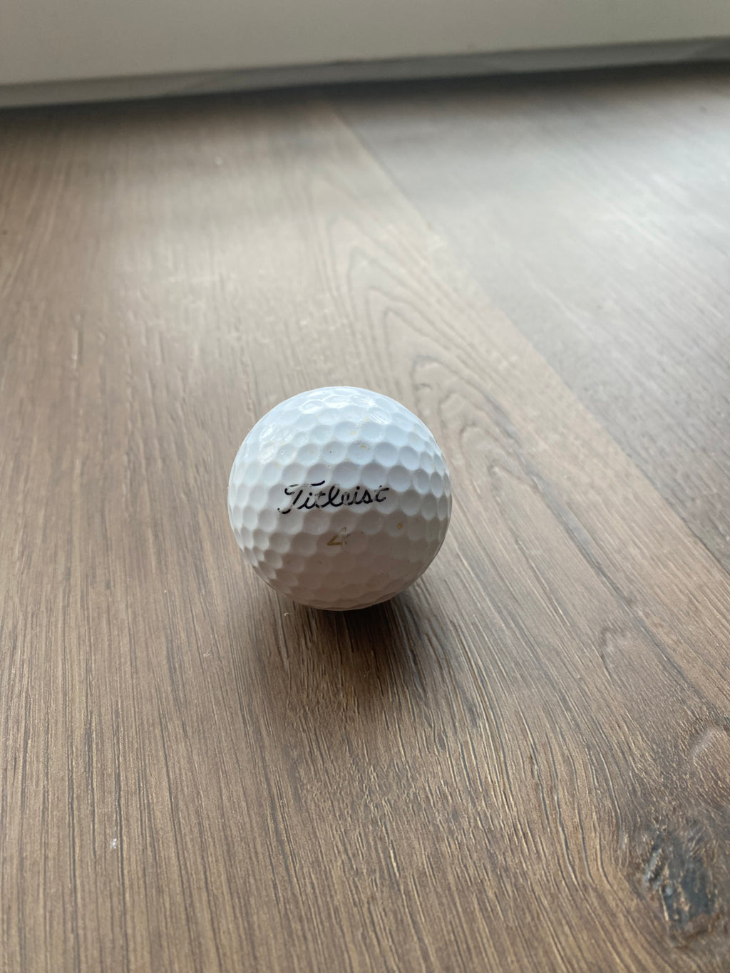 Titleist Lakeball Nahaufnahme, geprüfter Zustand des gebrauchten Golfballs