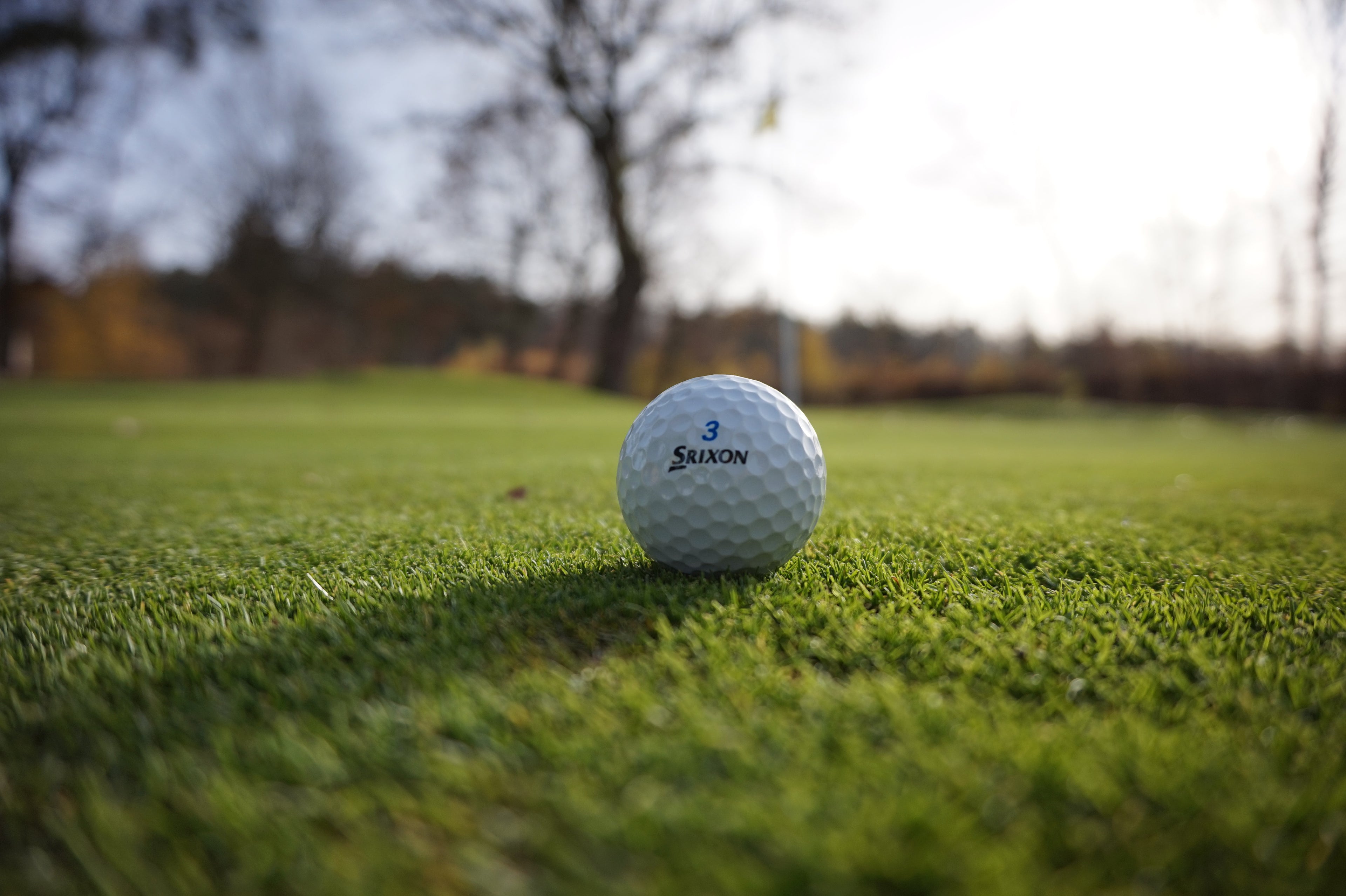 Srixon Golfbälle – Refurbished – Top Preis-Leistung für jedes Handicap