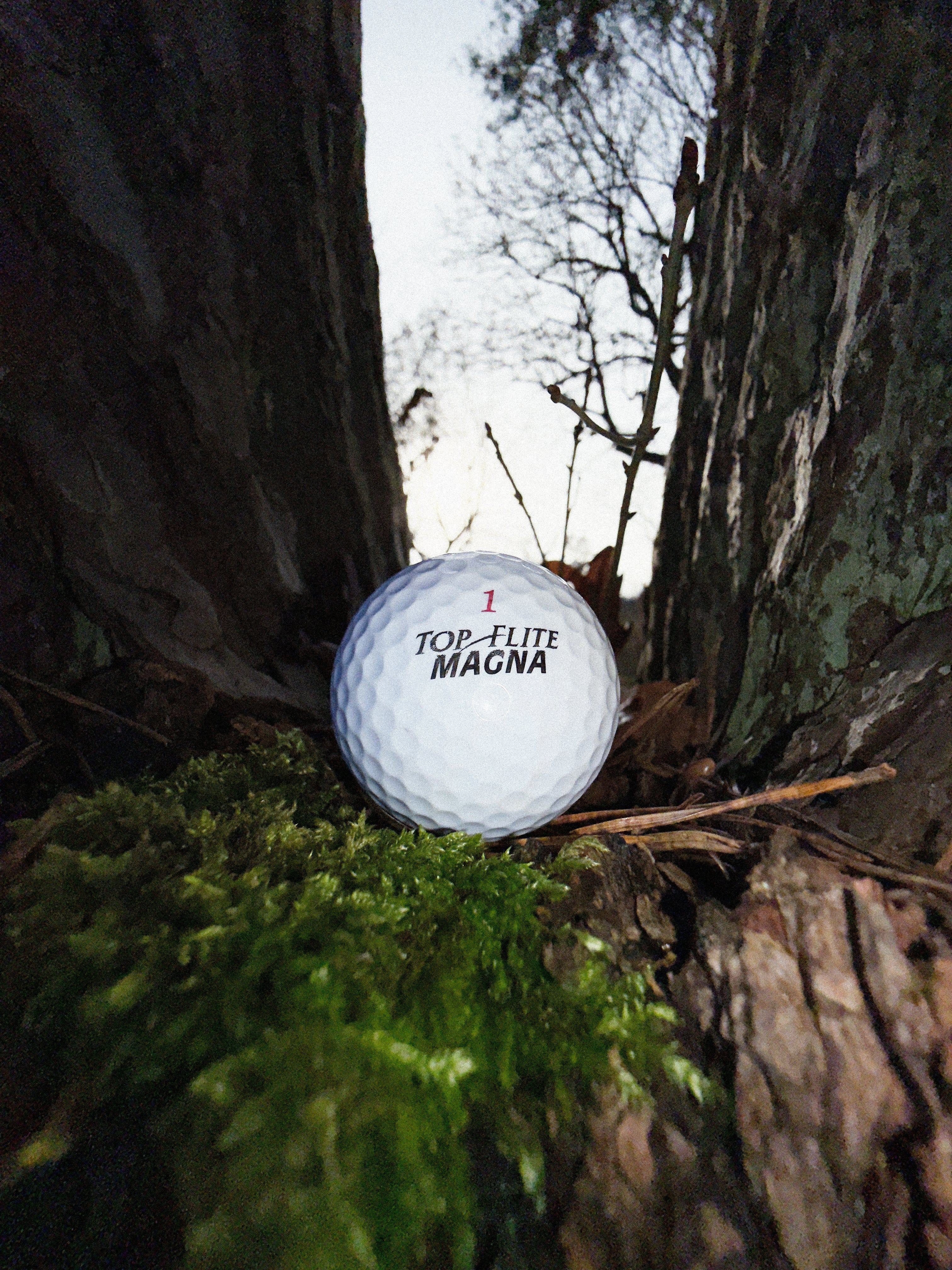 Top Flite Golfbälle – Refurbished – Extra Distanz für Anfänger